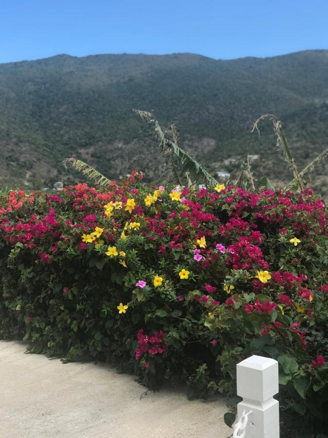 Ocean View Villas Jost Van Dyke Zewnętrze zdjęcie